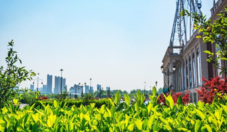 Navi Mumbai Green